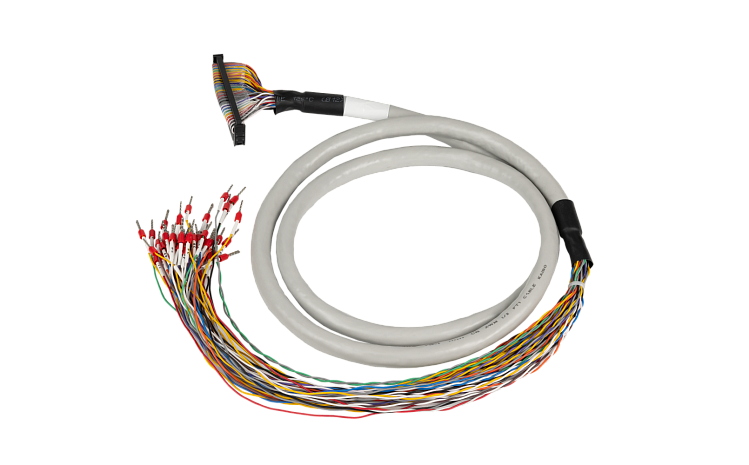 TC-01 - Image 1